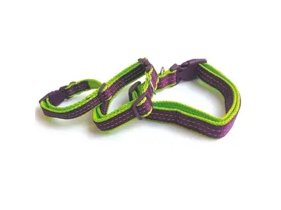 Zgarda pentru caini COMFORT M-PETS, S 1,5x23 cm/35,5 cm