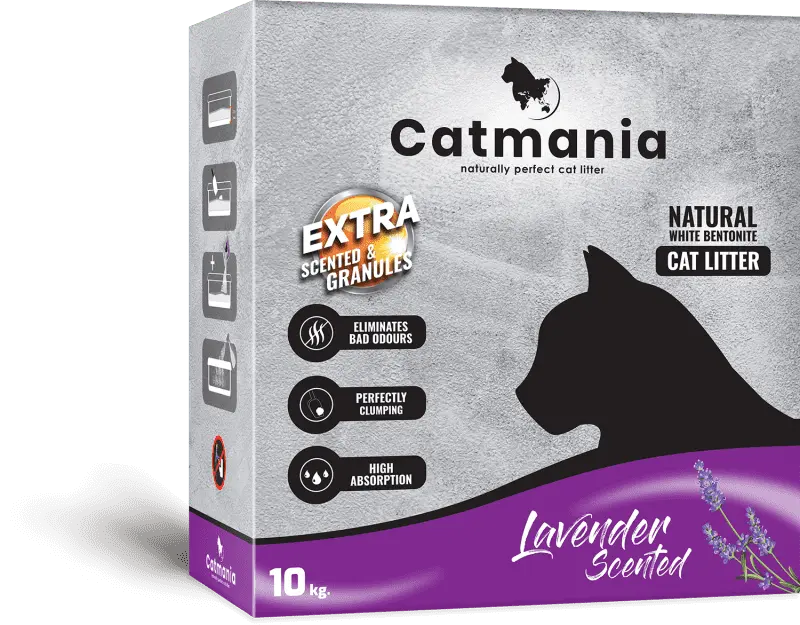 CATMANIA BOX LAVENDER (CARBON EFFECT)- 10KG