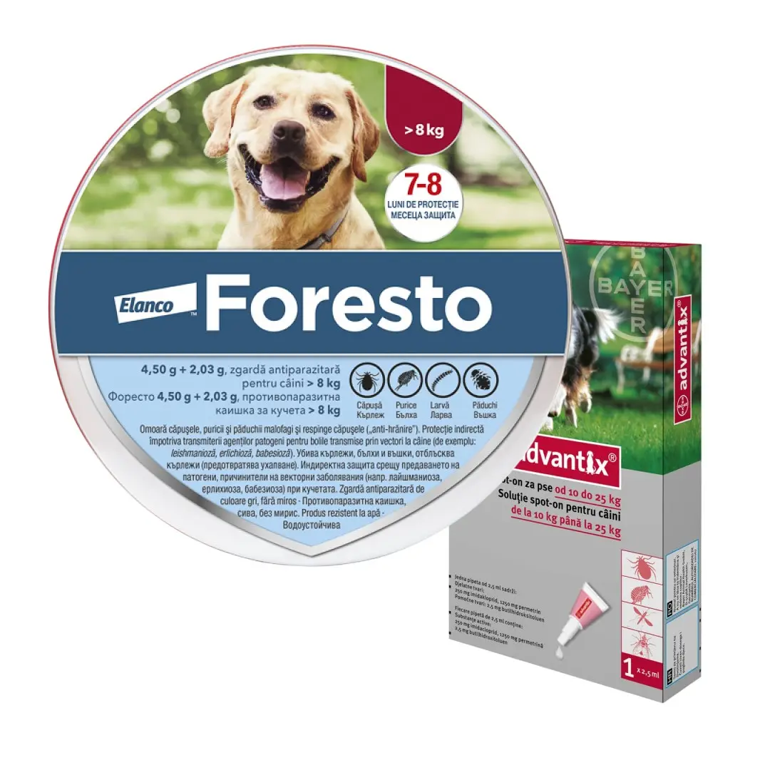 Pachet zgarda Foresto L (70 cm) + Advantix 250 (10-25 kg)