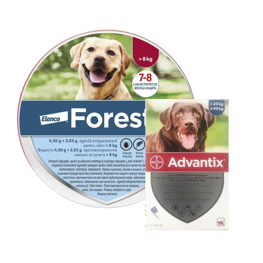 Pachet zgarda Foresto L (70 cm) + Advantix 400 (25-40 kg)