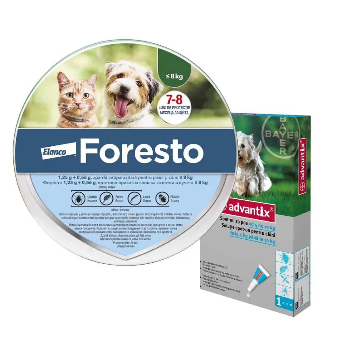 Pachet zgarda Foresto S (38 cm) + Advantix 100 (4-10 kg)