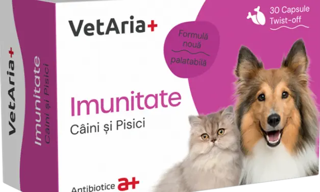 Supliment imunitate pentru caini si pisici, VetAria+, 30 capsule, twist-off
