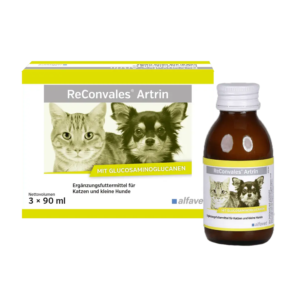 ReConvales Artrin, Supliment articular pentru caini si pisici, 1 X 90 ml