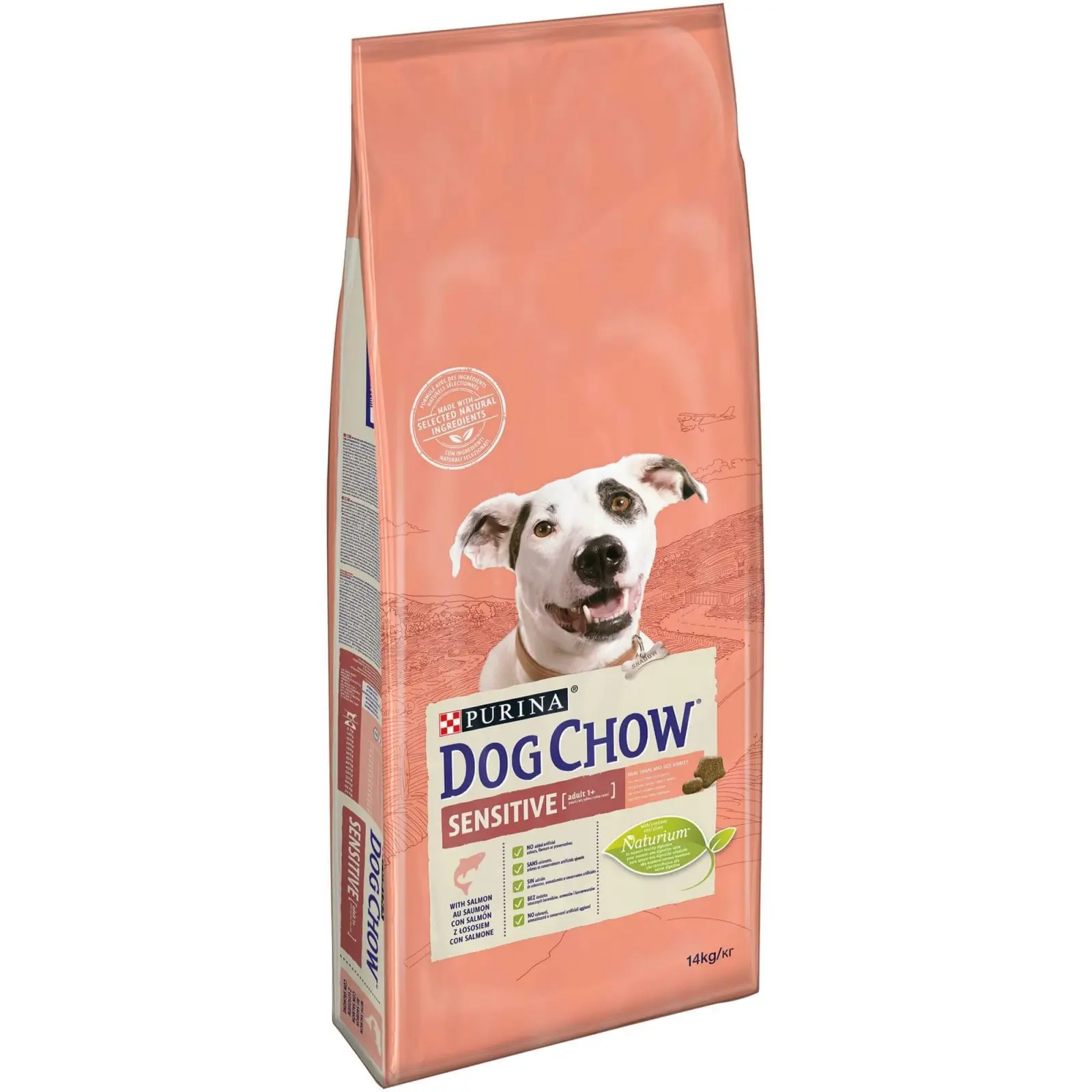 Purina Dog Chow Adult Sensitive, somon, hrana uscata pentru caini adulti cu sensibilitate digestiva, 14 kg