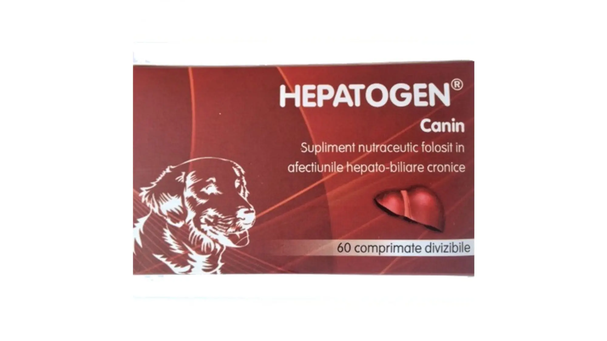 Hepatogen Canin, 100 mg, 60 comprimate