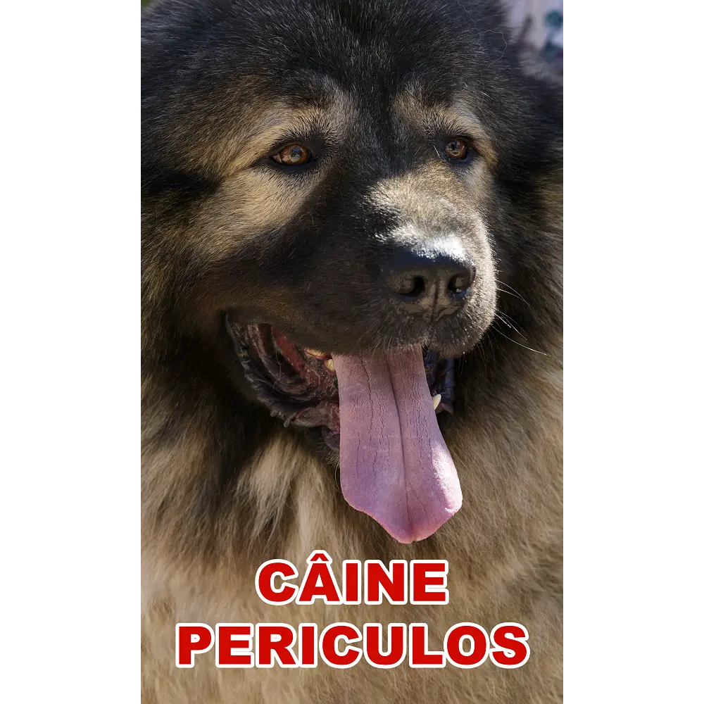 Placuta de Avertizare Caine Periculos Ciobanesc Caucazian