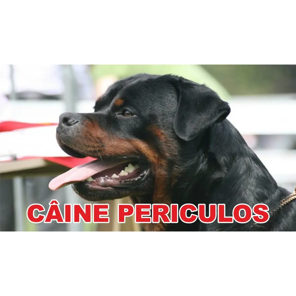Placuta de Avertizare Caine Periculos Rottweiler