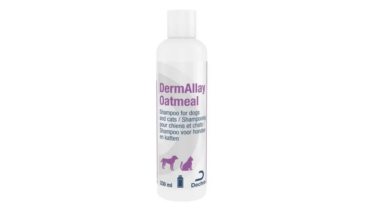 Dermallay Oatmeal Shampoo 230 ml
