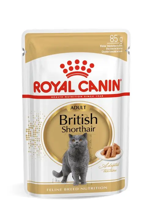 Royal Canin British Shorthair Adult, 12 plicuri X 85 gr