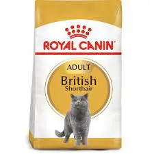 Royal Canin British Shorthair Adult 2 kg PLUS 400 g Gratis