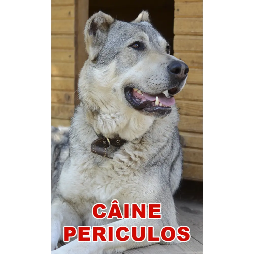 Indicator caine periculos Cobanesc Asia Centrala