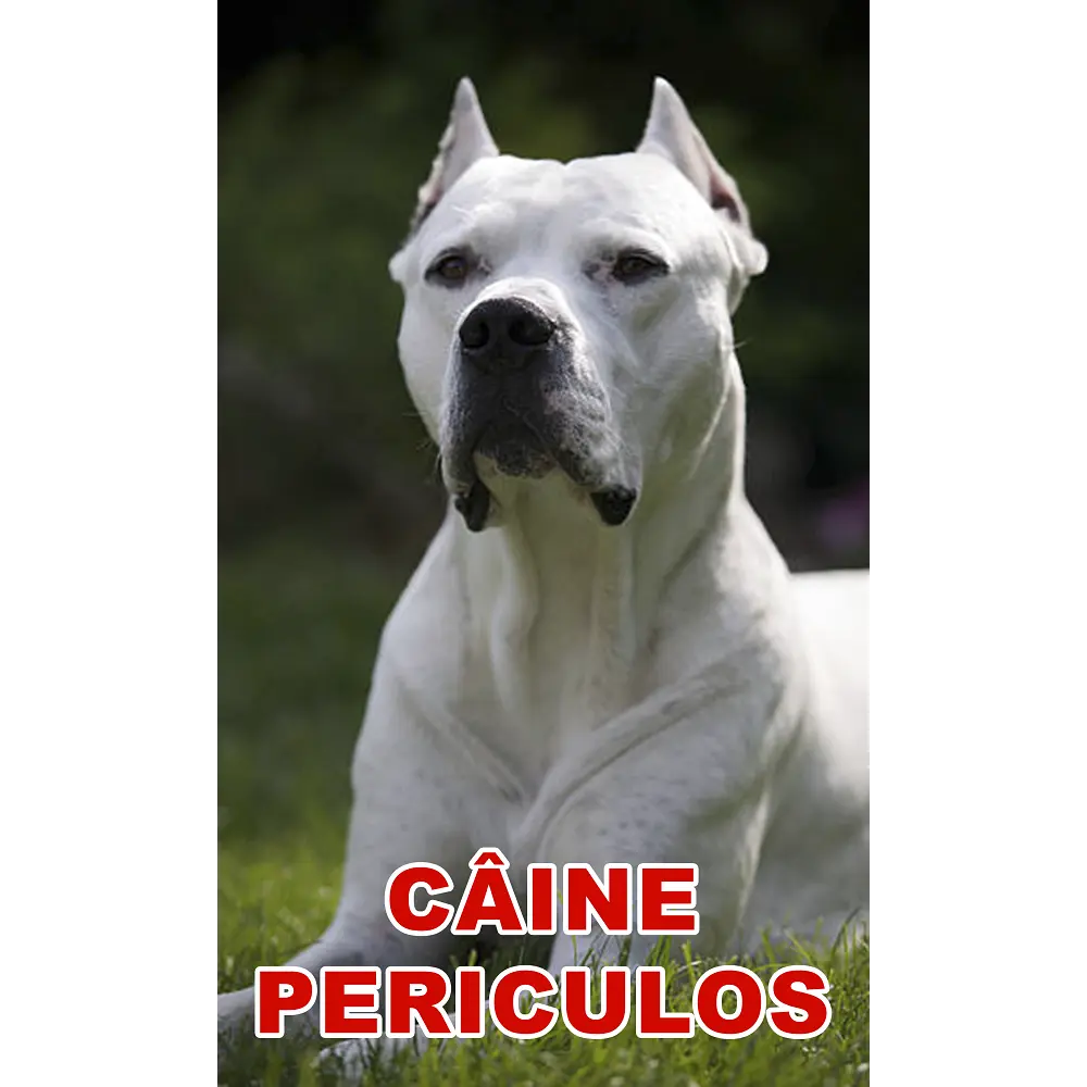 Indicator caine periculos Dog Argentinian