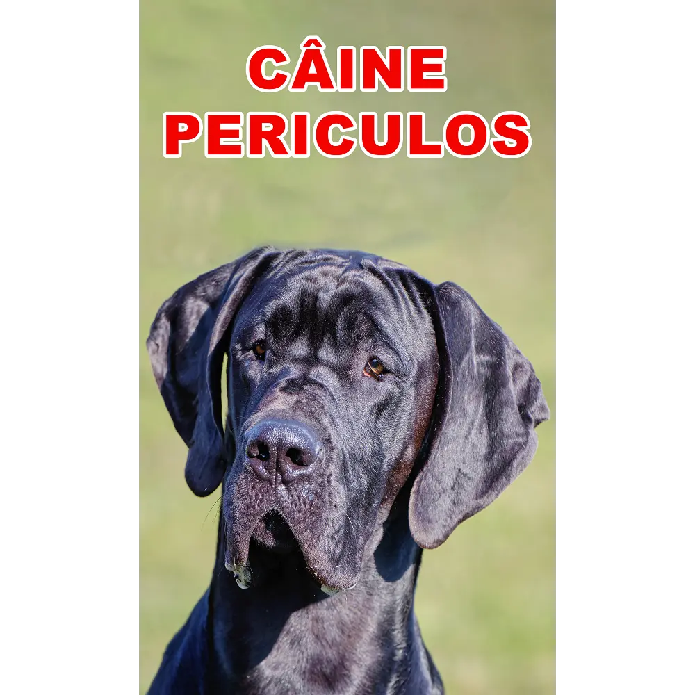 Indicator caine periculos Dog German