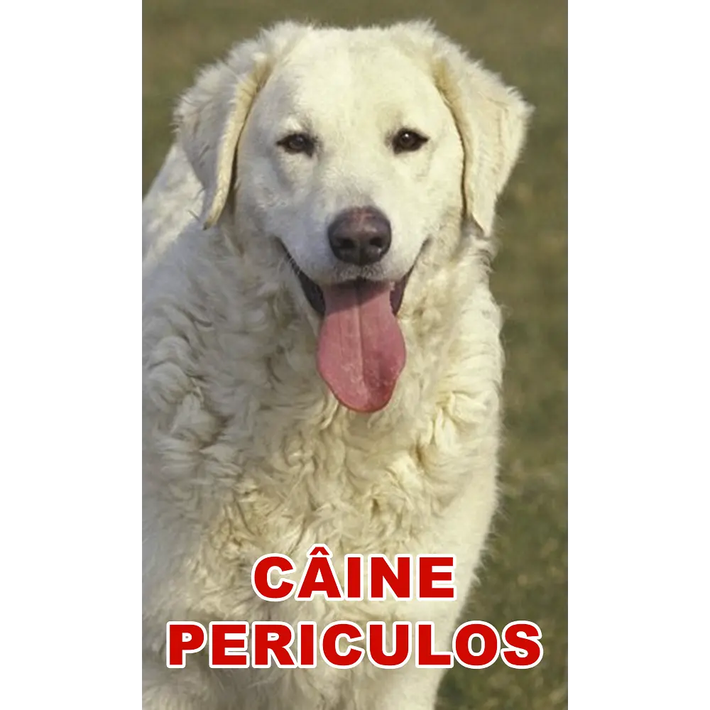 Indicator caine periculos Kuvasz