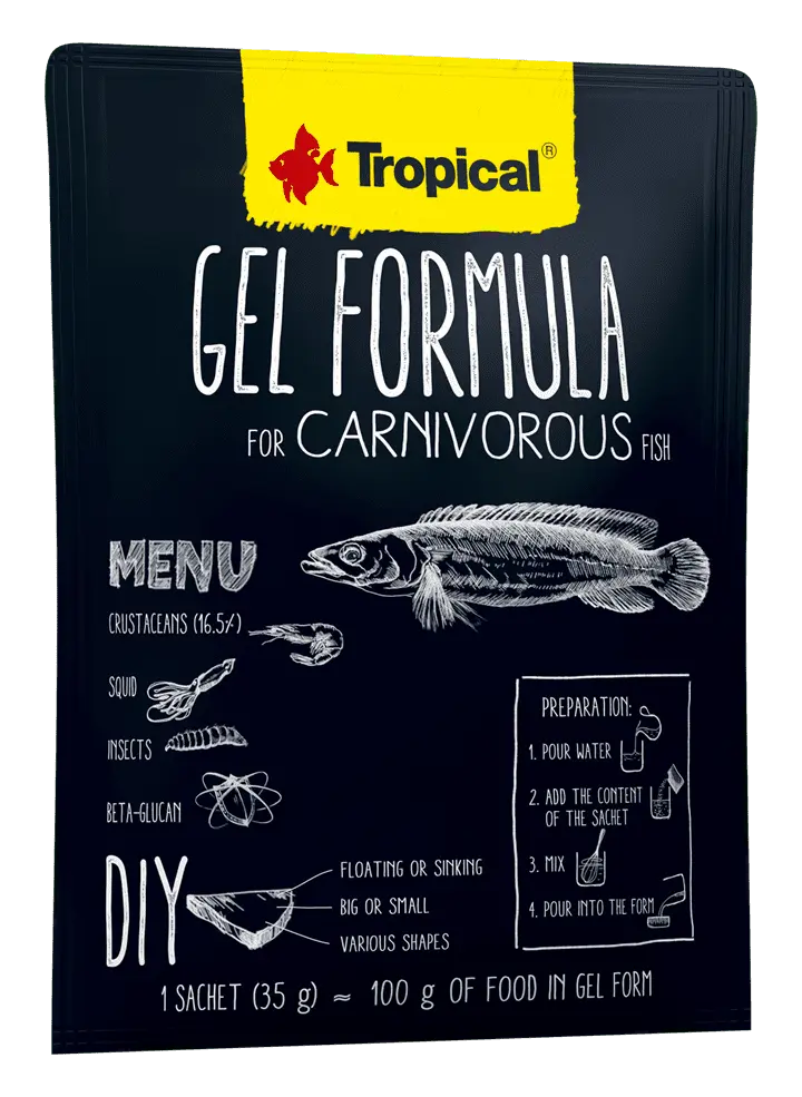 Hrana pentru pesti carnivori, TROPICAL Gel Formula, plic 35G