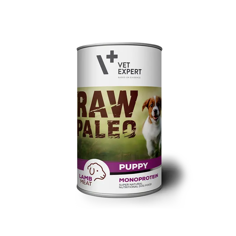 Hrana umeda pentru caini, RAW PALEO Puppy, carne de miel 800 g