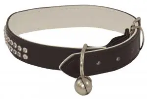 Zgarda S neagra