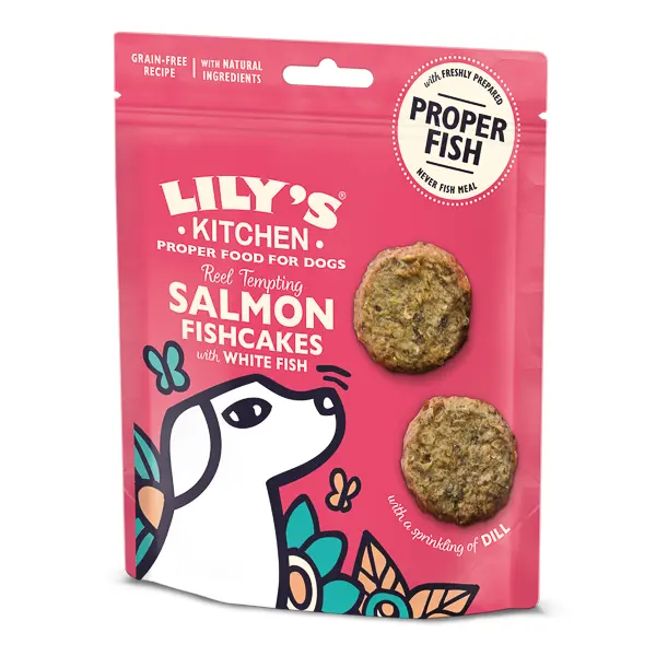 Lily's Kitchen Dog Salmon Fishcakes Treat 70 g