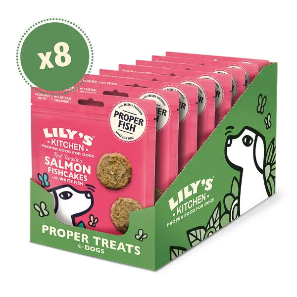 Lily's Kitchen Dog Salmon Fishcakes Treat 8 x 70 g