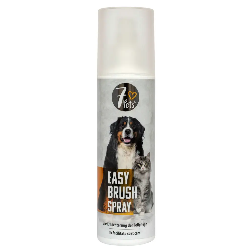 Easy brush spray 200ml