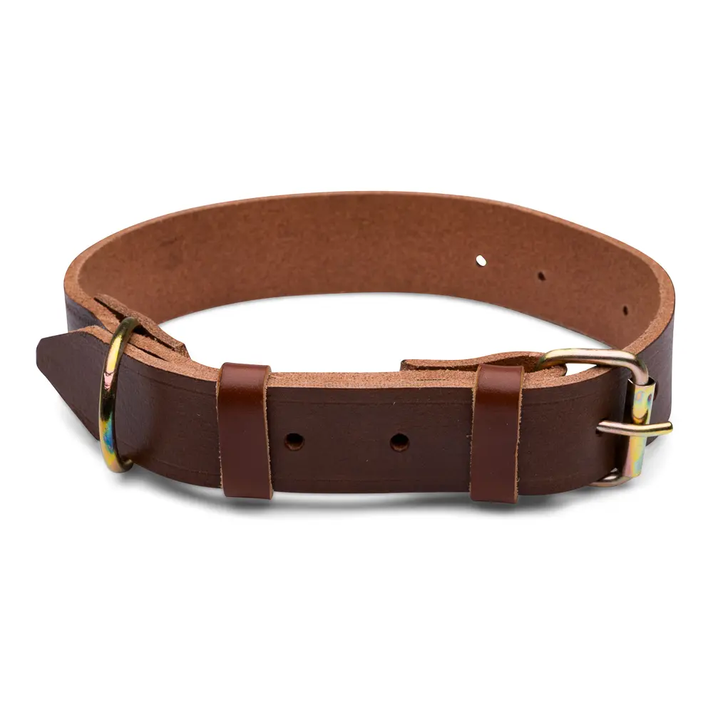 Zgarda caine 2.5cm nr.2