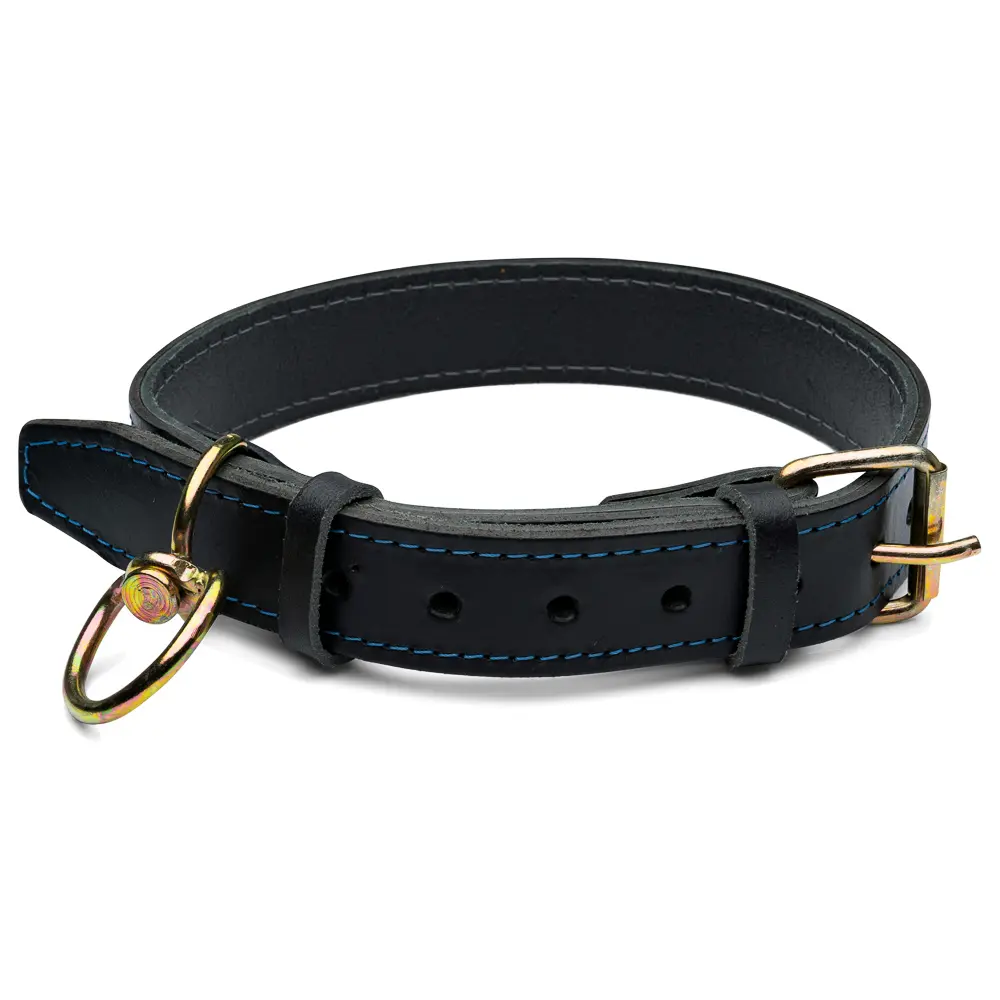 Zgarda dubla caine 4cm nr.8