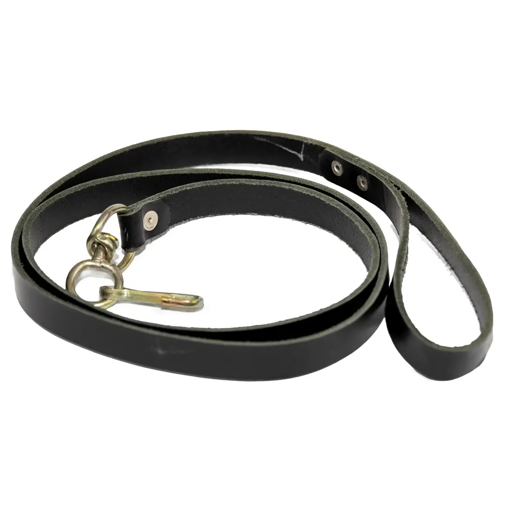 Lesa piele caine mare