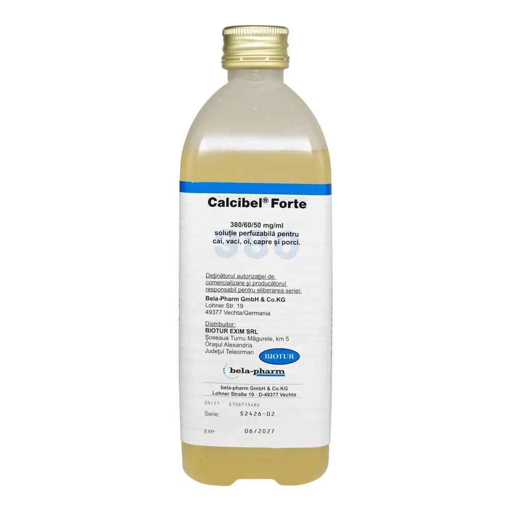 CALCIBEL Forte 500ml