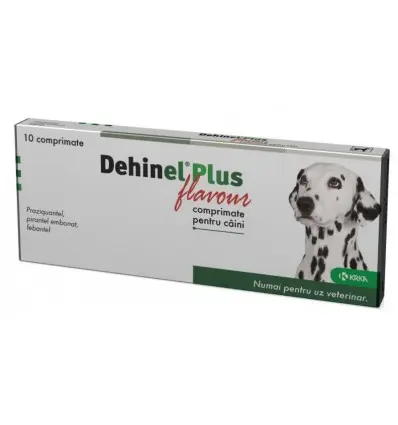 Dehinel Plus Flavour, 10 comprimate