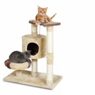 Mon Petit Ami Ansamblu de Joaca pentru Pisici - CAT4068