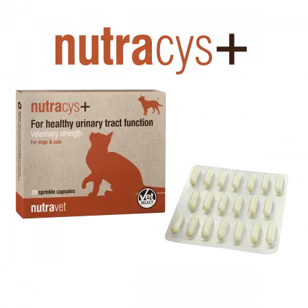 Nutravet Nutracys+ Sustinerea Tractului Urinar Caini si Pisici 20 Capsule
