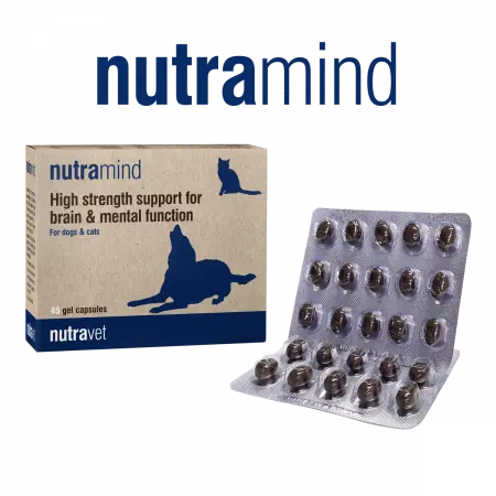 Nutravet Nutramind Sprijin pentru Sanatatea Creierului Caini si Pisici 45 Capsule