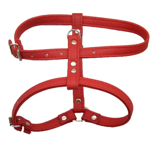 Ham caini, piele ecologica, reglabil, 24-42 cm x 12 mm