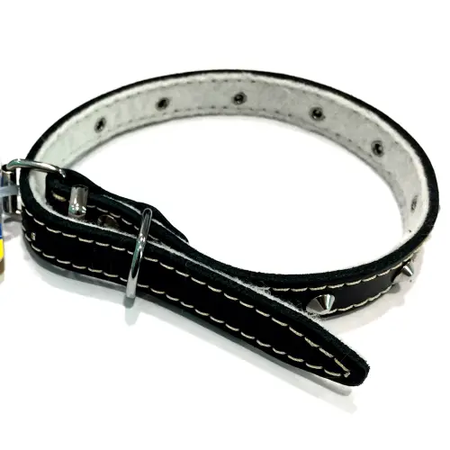 Zgarda pentru animale de companie: piele naturala, 12 mm x 330 mm, neagra cu tinte metalice