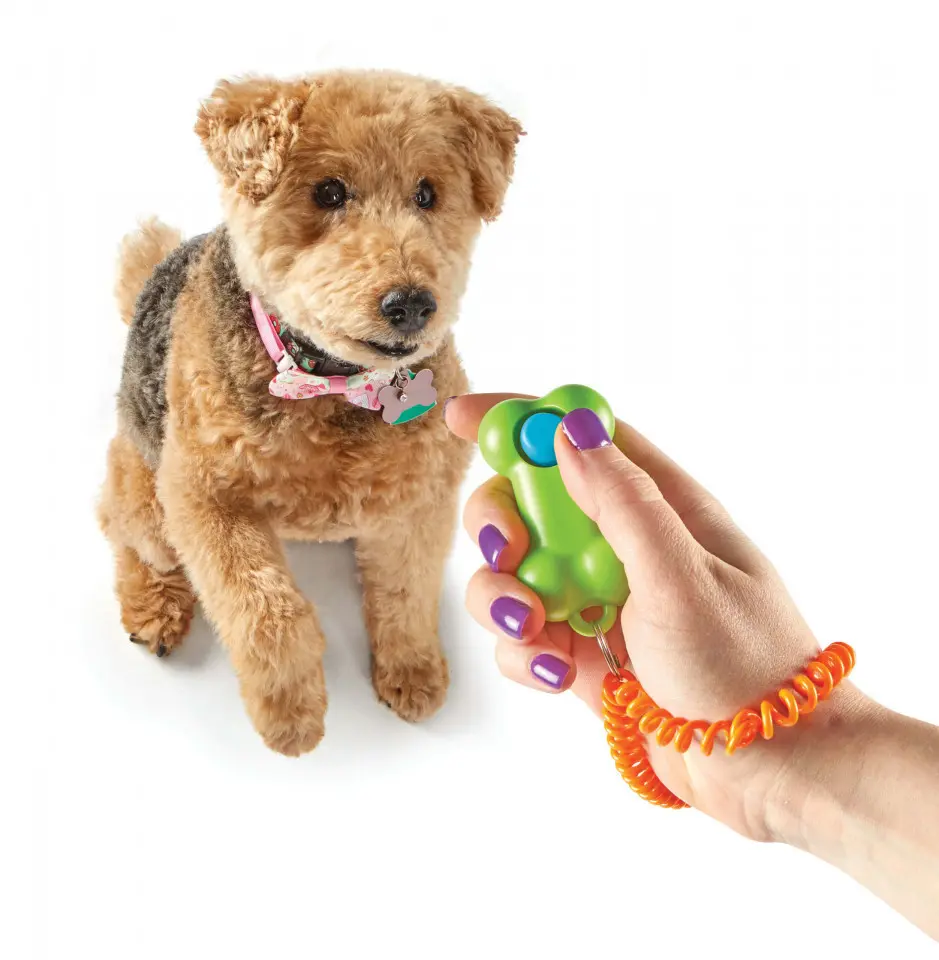 Clicker Smarty Pooch - Os