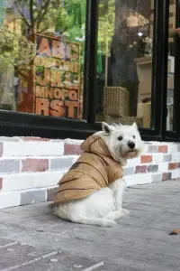 Geaca captusita - Alaska - Bej - XS