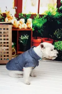 Geaca Dandy - Denim - S