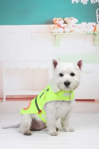 Geaca reflectorizanta - Petsafe - Verde - L