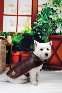 Geaca Sankt Moritz - Maro - M