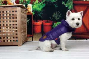 Geaca Sankt Moritz - Mov - L