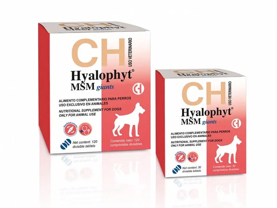Hyalophyt MSM Giants - Supliment pentru articulatii - 120cpr.