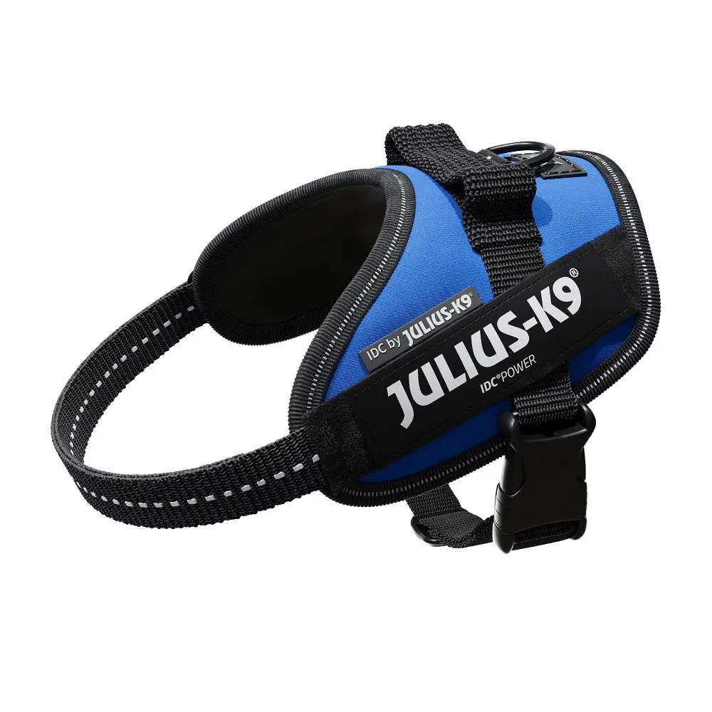 Ham JK9 IDC Power, albastru, respirabil, cu elemente reflectorizante, circumferinta piept 40-53 cm