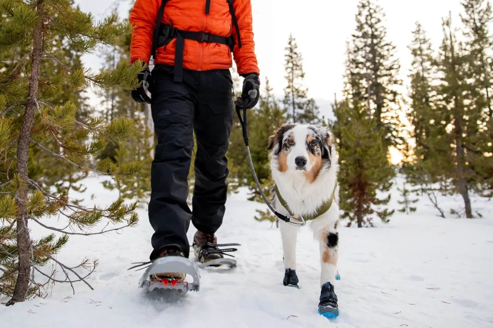 Incaltaminte caini Polar Trex Ruffwear - 70mm - Obsidian Black