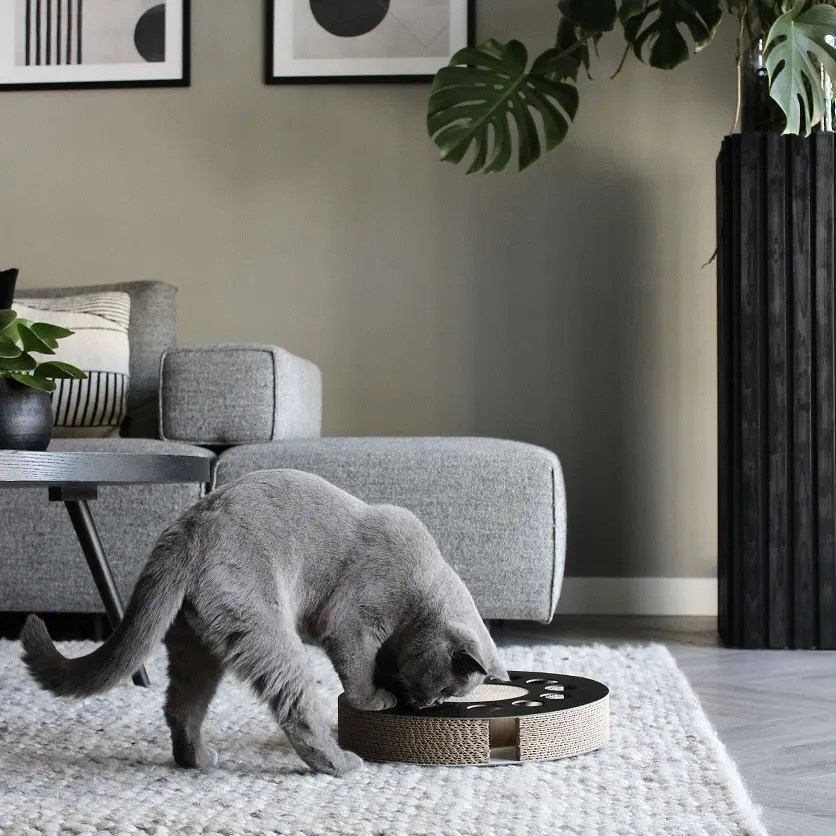 Jucarie pisica District 70 Whirl Black