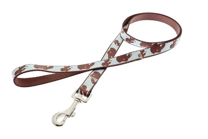 Lesa Fuss-Dog, albastra, usor de curatat, cu catarama rezistenta, lungime 1 m