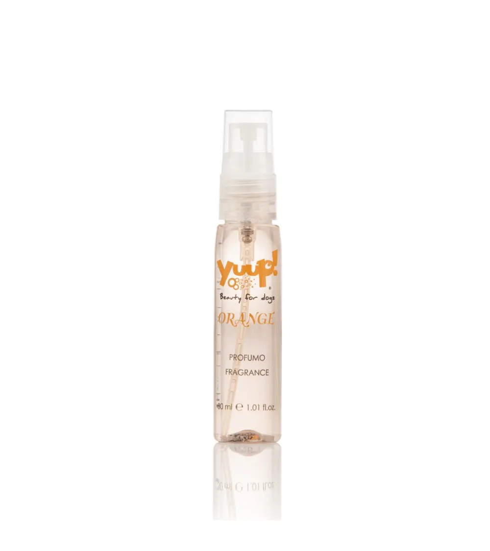 Parfum Yuup Orange - 30ml