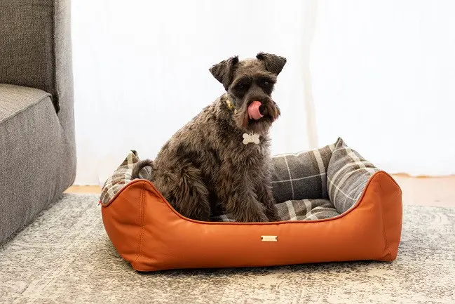 Pat caine - CAZO Oxford - 73x57cm