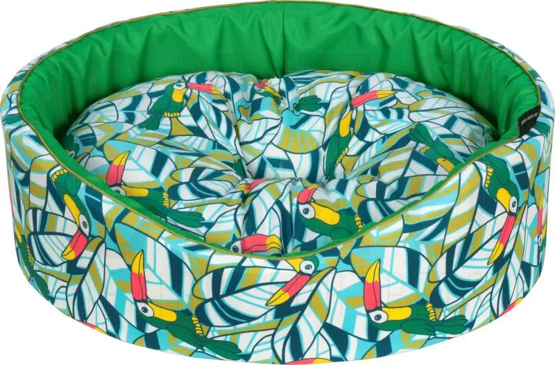 Pat caine - CAZO Toucan - 60x50cm