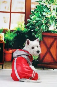 Pelerina ploaie, dungi flourescente - Rosu - M