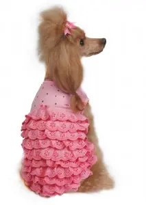 Rochita Dorotea - L - Roz